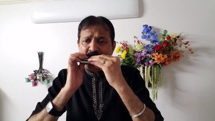 O Sajna Barkha Bahaar Aayee-Film Parakh 1960-Vintage Song on Harmonica Live Performance by Mukund Kamdar