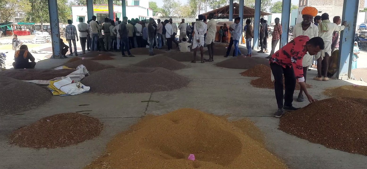 अरनोद  मंडी में बढऩे लगी रबी उपज की आवक