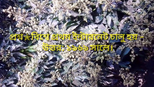 সাধারণ জ্ঞান : প্রাচীন কালে পারস্য কি নামে পরিচিত ছিল – Learning Time BD