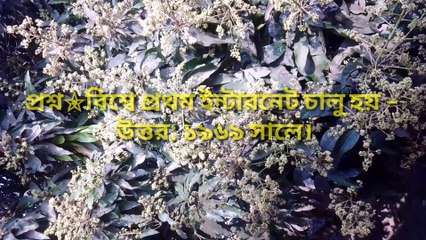 সাধারণ জ্ঞান : প্রাচীন কালে পারস্য কি নামে পরিচিত ছিল – Learning Time BD