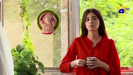 Nikah Episode 34 | Haroon Shahid & Zainab Shabbir | Drama Promos