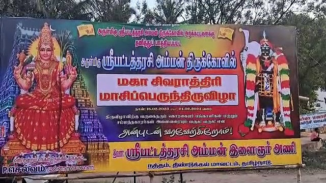 பன்றிகளுக்கு சிவப்பு கம்பள வரவேற்பு; திண்டுக்கல்லில் விநோத வழிபாடு