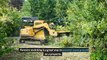 The Advantages And Disadvantages Of Using Forestry Mulching For Clearing Land