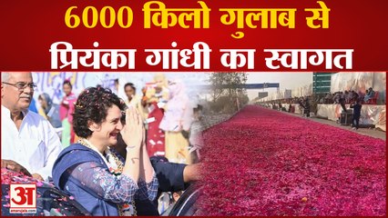 Congress Adivation में पहुंची Priyanka Gandhi का 6000 KG गुलाब से हुआ भव्य स्वागत |Sonia Gandhi|