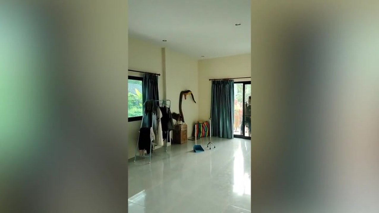Giant 12-foot-long king cobra emerges in family’s living room while they watch TV