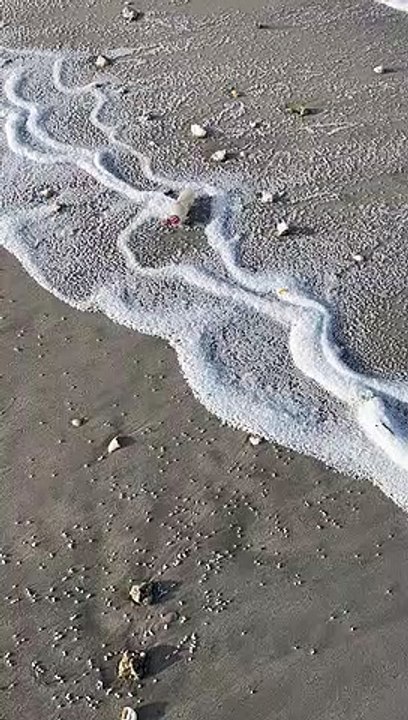 Dubai beach cleaning
