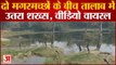 Maharajganj News: दो मगरमच्छों के बीच तालाब में उतरा शख्स, वीडियो वायरल