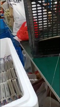 Em bé theo mẹ đi làm, ngoan ngoãn dưới gầm bàn đợi mẹ tan ca