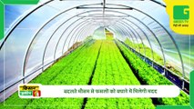 Kisan Bulletin 25 Feb 2023 -  Rajasthan government is running a scheme to promote goat farming, the government is giving goats of Sirohi breed for free | Green TV