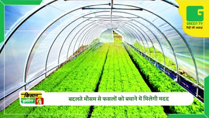 Kisan Bulletin 25 Feb 2023 -  Rajasthan government is running a scheme to promote goat farming, the government is giving goats of Sirohi breed for free | Green TV