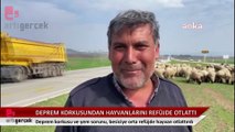 Deprem korkusu ve yem sorunu, besiciye orta refüjde hayvan otlattırdı.