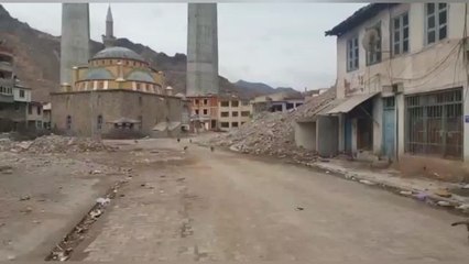 Taşınan Yusufeli İlçesinde Kalan Sokak Hayvanları Aç Kalma Tehlikesiyle Karşı Karşıya