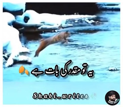 منزل ملے یا نا ملے یہ مقدر کی بات ہے۔