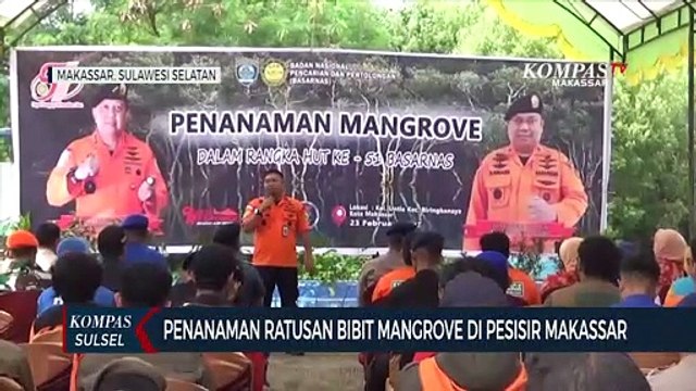 Penanaman Ratusan Bibit Mangrove Di Pesisir Makassar
