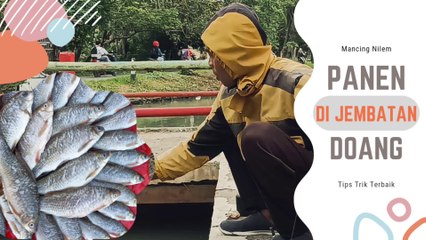 Mancing Nilem Panen Di Jembatan Doang