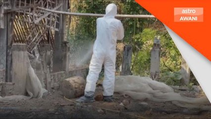 Selesema Burung | Kanak-kanak, mangsa terbaharu selesema burung di Kemboja