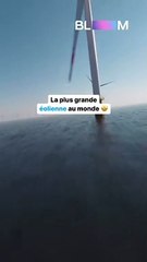 Les éoliennes nouvelle génération sont gigantesques !