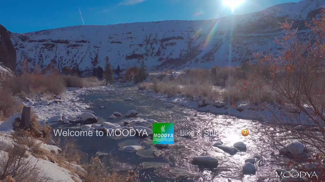 Sony 4K HDR Video - Bright Snow Blinded Winter - Daily Relaxing Nature
