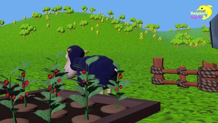 Baa Baa Black Sheep | Kids Songs and Nursery Rhymes | Dolphin Kids Tv