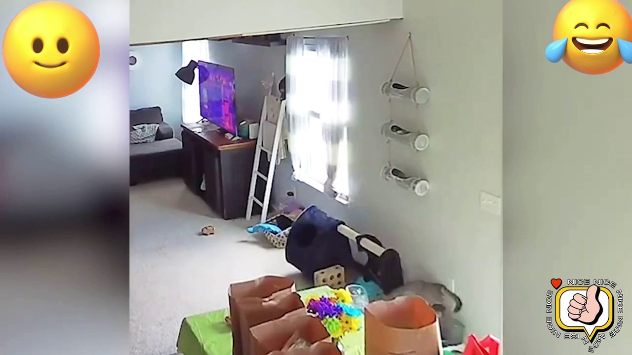 TRY NO NOT LAUGH. FUNNY PRANK FAILS LAUGH VİDEOS #31