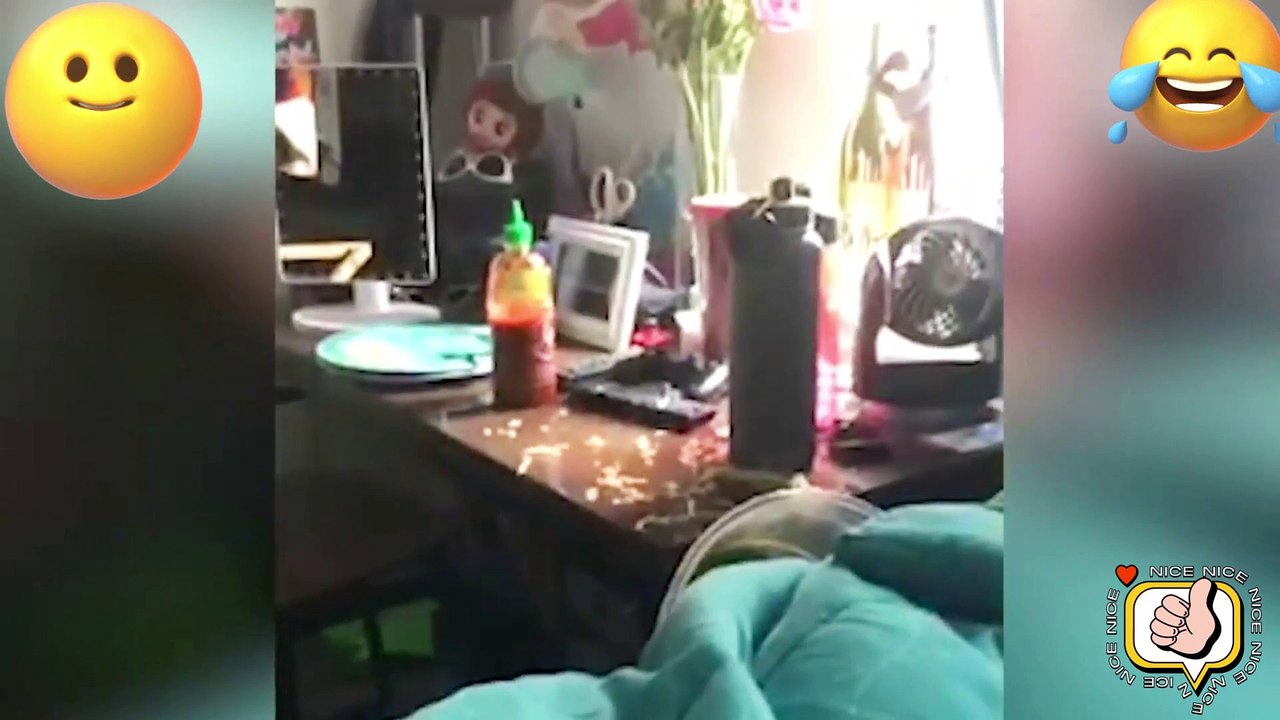 TRY NO NOT LAUGH. FUNNY PRANK FAILS LAUGH VİDEOS #33