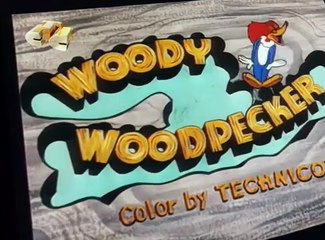 Woody Woodpecker Woody Woodpecker E166 – One Horse Town