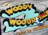 Woody Woodpecker Woody Woodpecker E168 – Hook, Line and Stinker