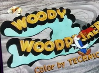 Woody Woodpecker Woody Woodpecker E168 – Hook, Line and Stinker