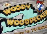 Woody Woodpecker Woody Woodpecker E170 – Woody’s Knight Mare
