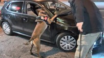 İstanbul'da helikopter ve narkotik köpeğinin de destek verdiği 'Yeditepe Huzur' denetimi yapıldı