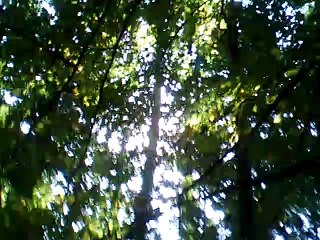 Sweet Rosie O'Grady instrumental