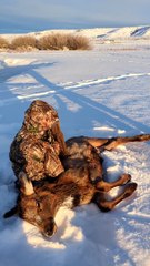 Two Guys Help a An Elk Calf Off the Ice