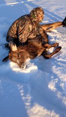 Two Guys Help a An Elk Calf Off the Ice