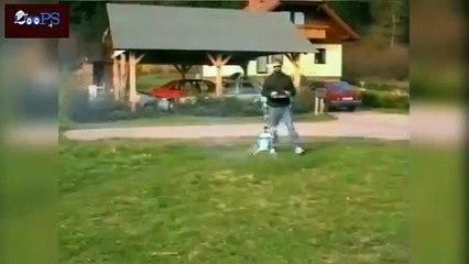 Best FUNNY HOME VIDEO Fail Compilation - For Latest Funny Videos