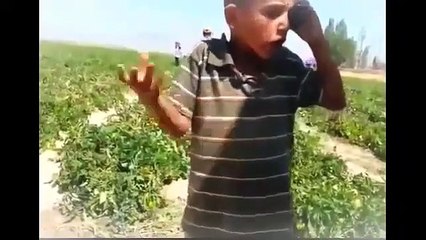 Sevdiği Kızı Almak İçin Her Yolu Deneyen Urfalı Çocuk