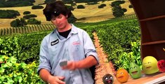 The High Fructose Adventures of Annoying Orange The High Fructose Adventures of Annoying Orange E013 – Escape from the Planet of the Grapes of Wrath!