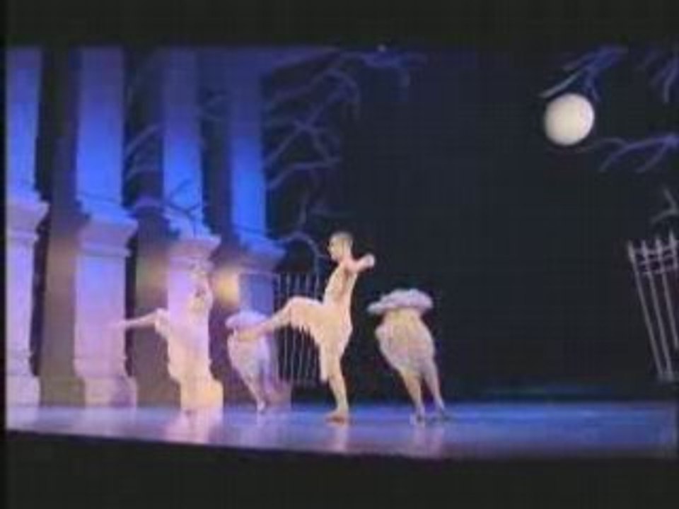 Swan Lake
