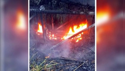 Scrap Iron Dealers Deny TSTT Sabotage