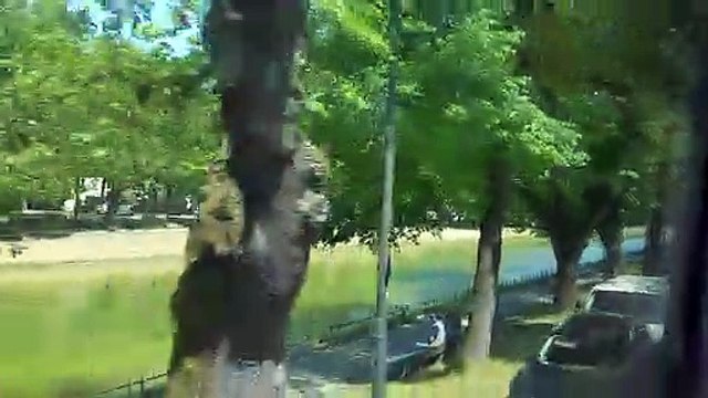 Munich sightseeing (20220728_141633)