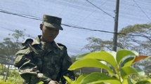 Militares indígenas eligieron creer y por eso reforestan el Amazonas