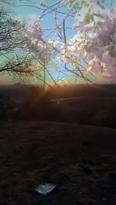 Happy all healthy life