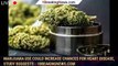Marijuana Use Could Increase Chances For Heart Disease, Study Suggests - 1breakingnews.com