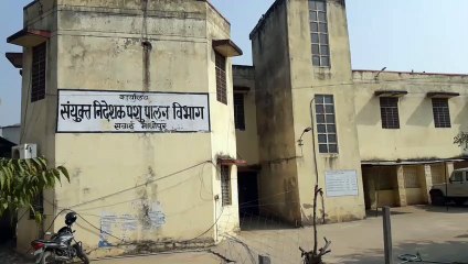 जमीन व गोवंश की संख्या घटाई फिर भी एक भी आवेदन नहीं