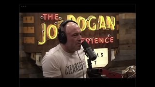 US Police Working For The Cartel - Joe Rogan & Mariana Van Zeller