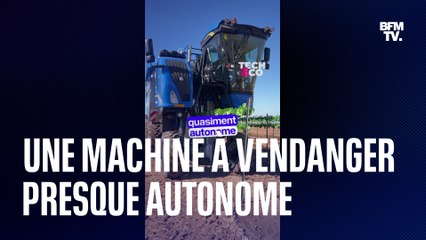 Cette machine fait les vendanges (presque) toute seule