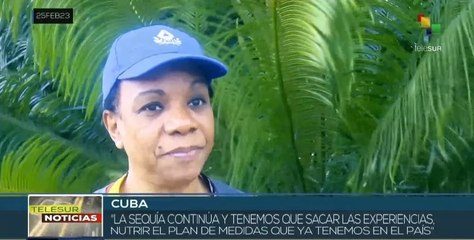Vice primera ministra cubana visita zonas afectadas por incendio forestal en oriente del país