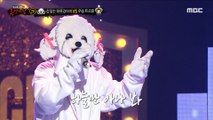 [2round] 'fearless dog' - Marry Me, 복면가왕 230226