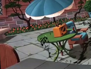 Donald Duck Donald Duck E127 Slide, Donald, Slide