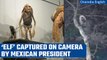 Mexican President shares picture of the mystical creature ‘Elf’ | Oneindia News