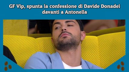 GF Vip, spunta la confessione di Davide Donadei davanti a Antonella